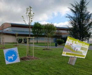 image de Mai 2024 : des arbres sont plantés